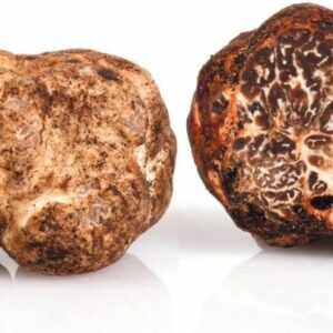 Trufla Bianchetto, Marzuolo 100g