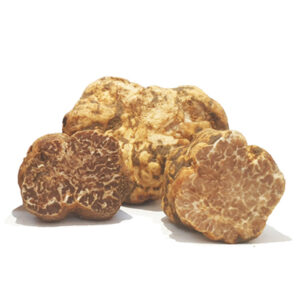 Trufla Bianchetto, Marzuolo