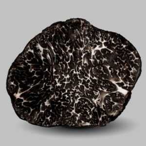 Trufla czarna Pregiato zimowa 50g